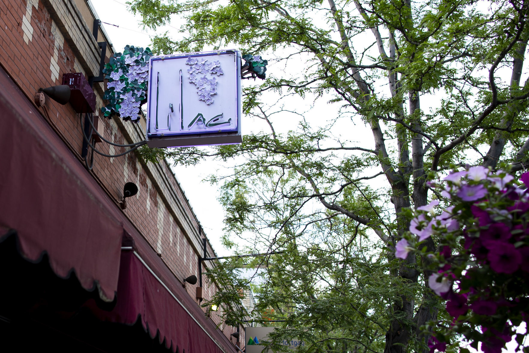 Lilac closed